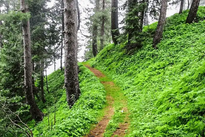 Miranjani track is the highest mountain in the Gilyat region, witha  4.69 KM long track